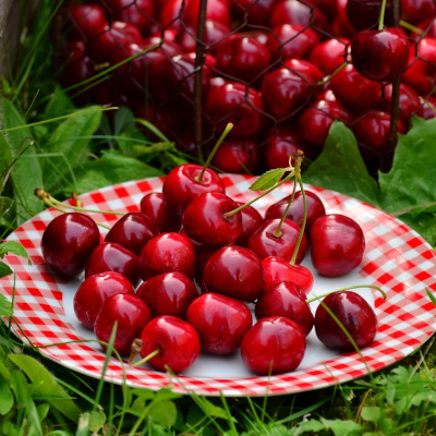 Traditional Old Fashioned Cherry Cobbler: A Delicious Dessert for Any Occasion