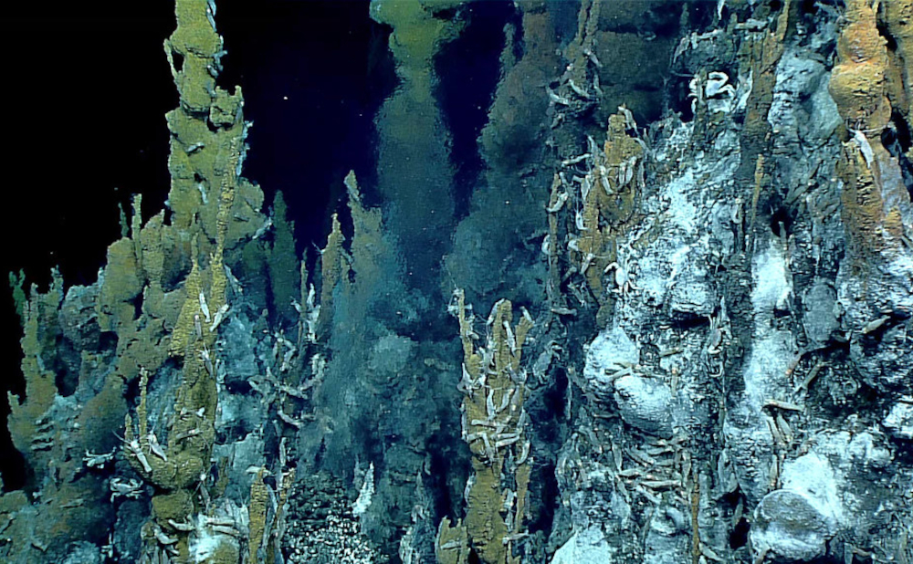 Exploring the Deepest Trenches: 6 Secrets of the Ocean Floor Revealed