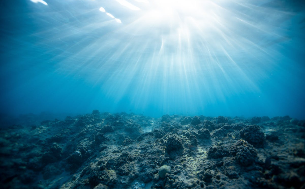 Exploring the Deepest Trenches: 6 Secrets of the Ocean Floor Revealed