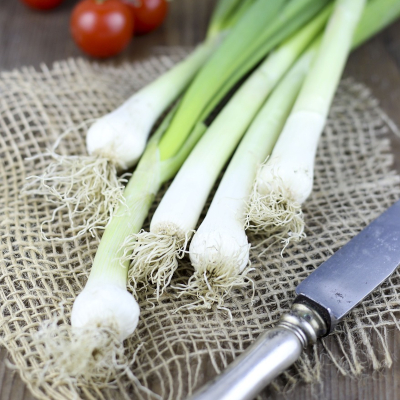 Green Onions: The Tasty Twist to Boost Your Health and Create Delicious Dishes