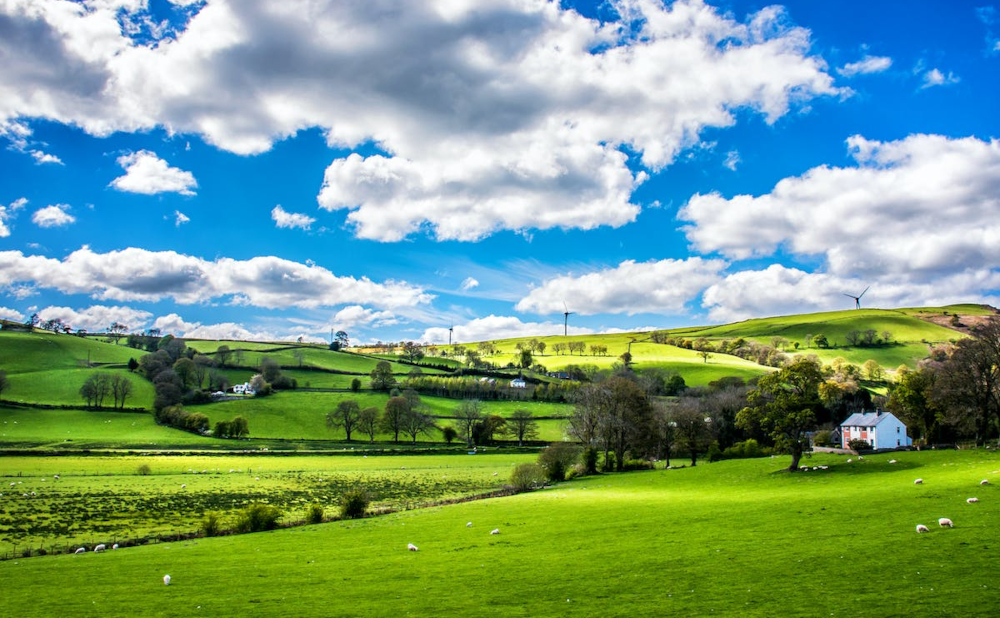 Cultivating Change: How Regenerative Agriculture is Reshaping Farming Practices