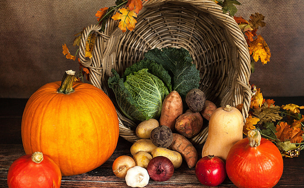 The Perfect Homemade Pumpkin Pie Recipe: Making Your Own Pumpkin Puree